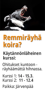 Denes koiranruoka